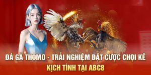 Đá gà thomo trải nghiệm đặt cược kịch tính tại ABC8