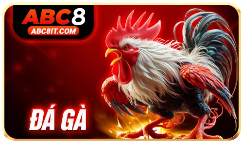Đá Gà ABC8