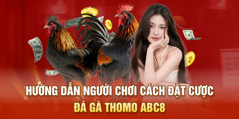 Hướng dẫn newbie chi tiết cách tham gia đá gà thomo ABC8